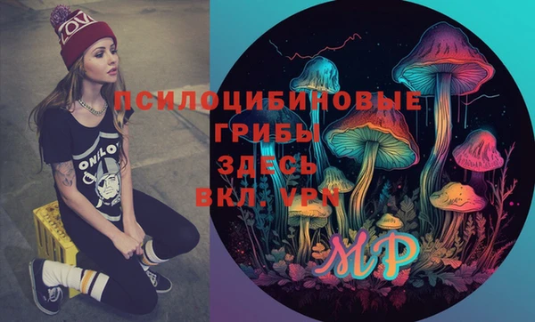 apvp Алзамай