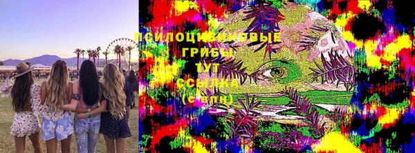 apvp Алзамай