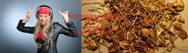а пвп мука Карпинск