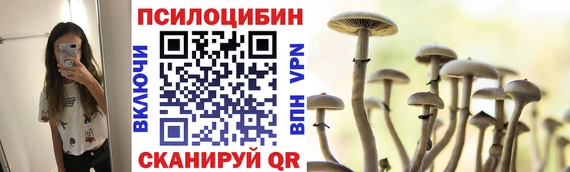 Псилоцибиновые грибы Cubensis  Апатиты 