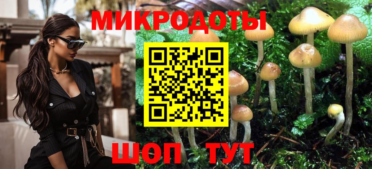 Псилоцибиновые грибы Psilocybine cubensis  Вход с VPN  Апатиты 